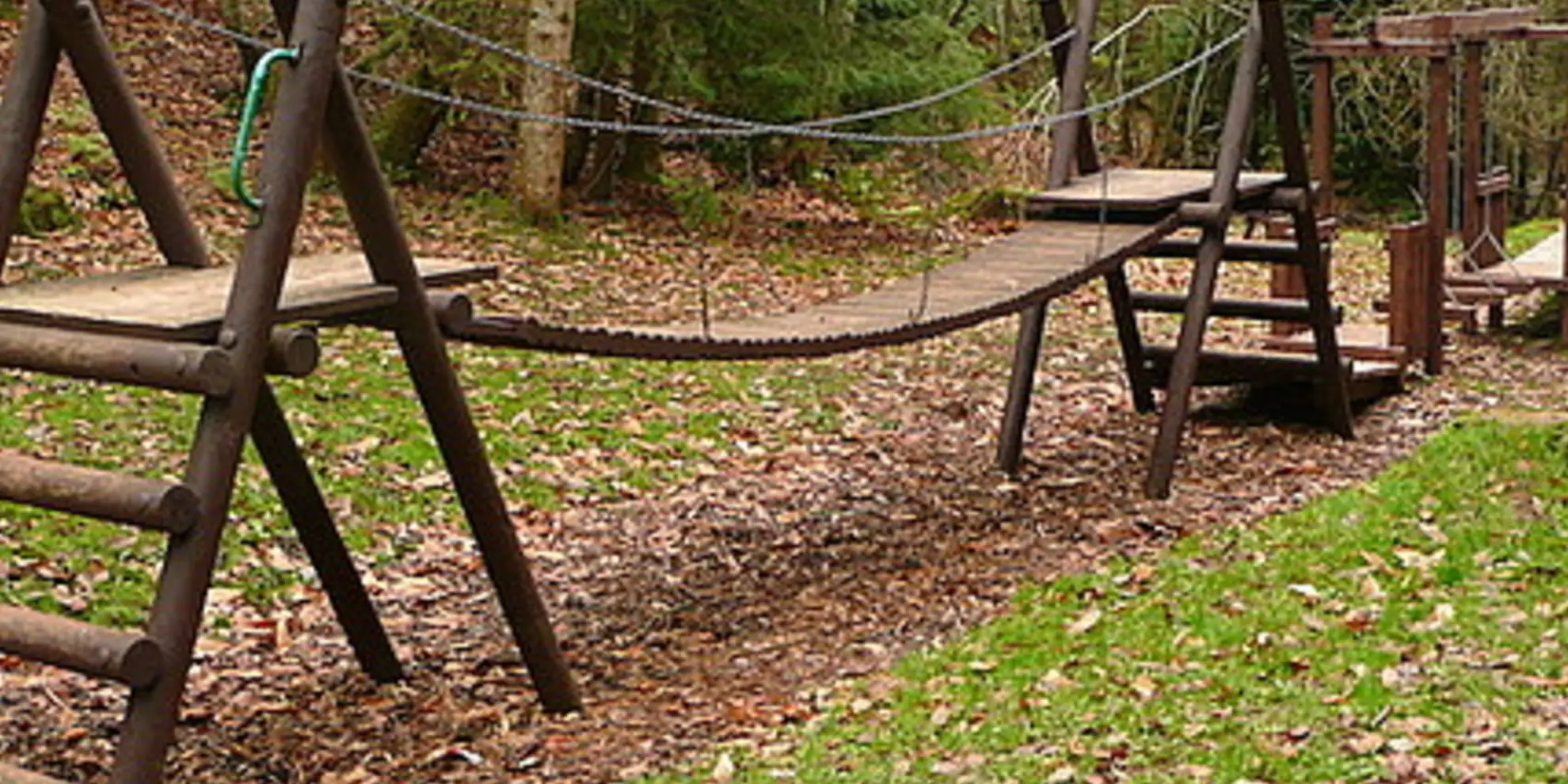 An image depicting the trail Dunster Hats Wood Circuit and its surrounding area.