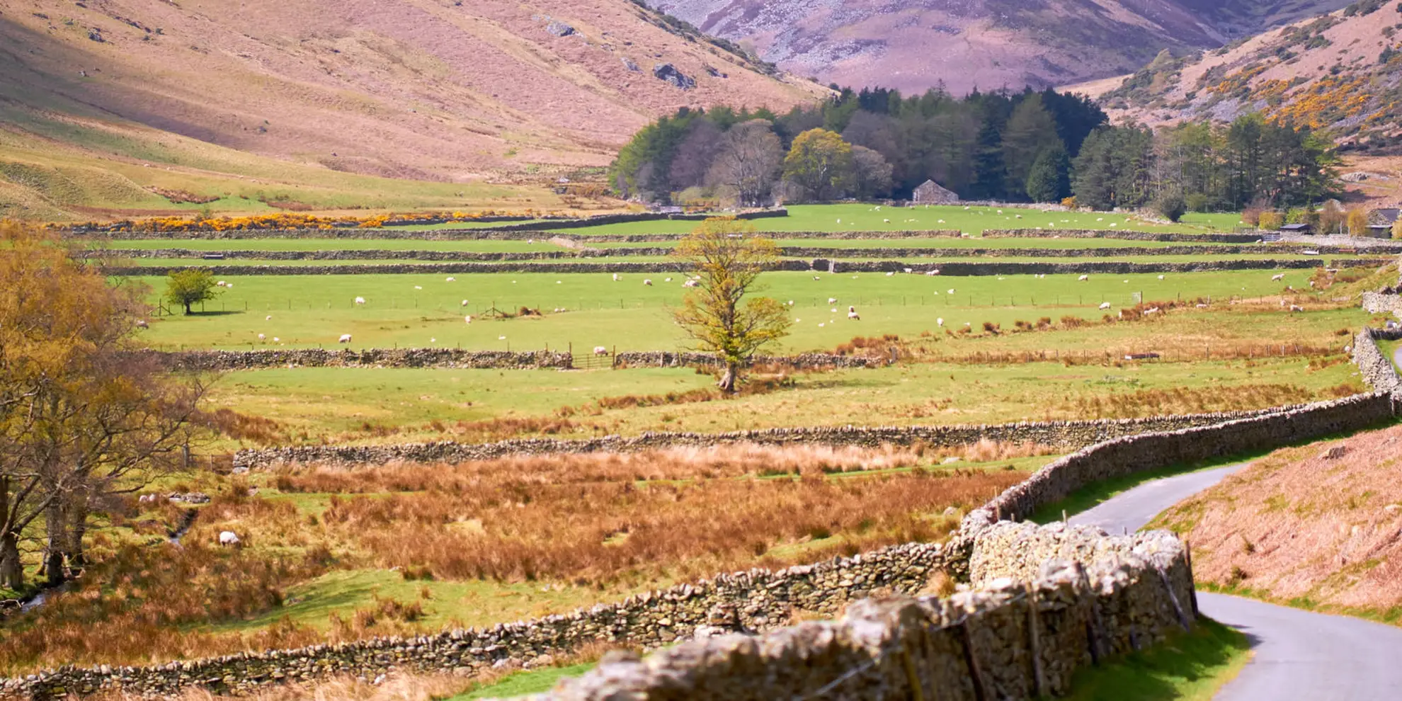 An image depicting the trail Hesket Newmarket - Caldbeck and Whelpo and its surrounding area.