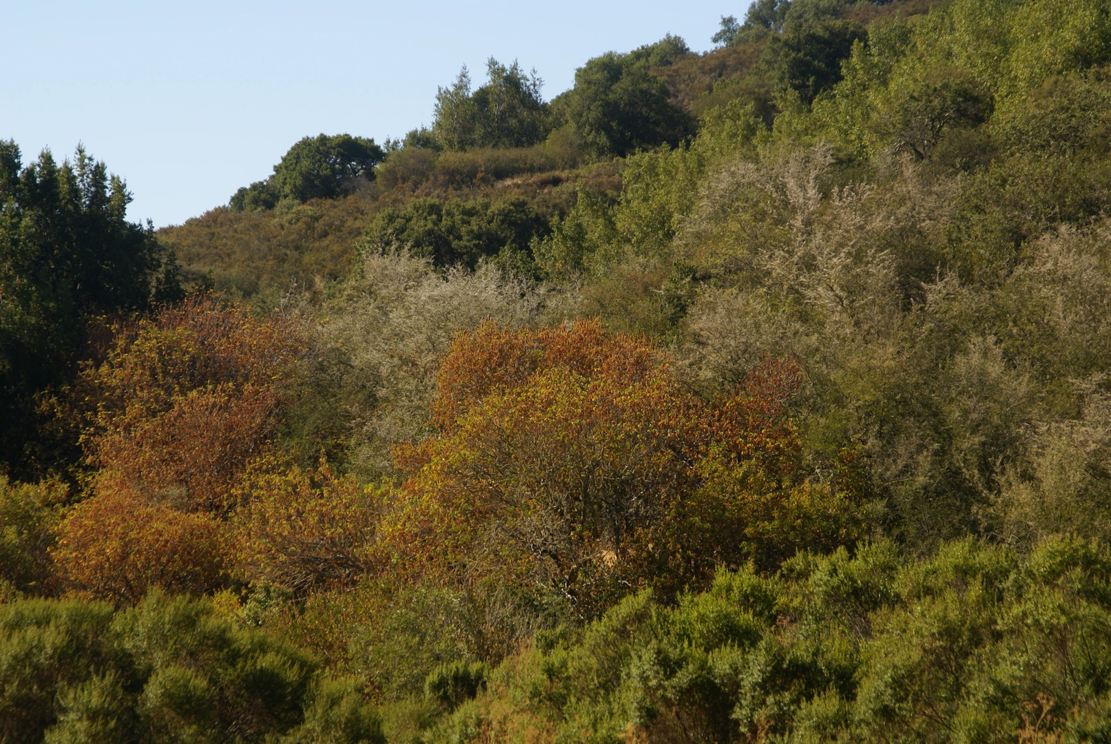 An image depicting the trail Madera Point and Coyote Trail and its surrounding area.