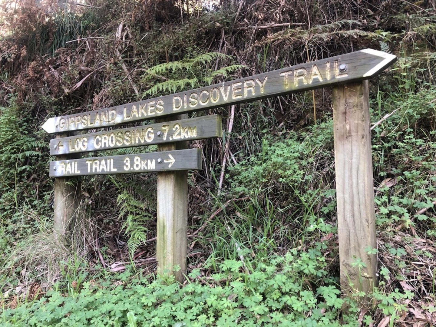 An image depicting the trail Discovery Trail and its surrounding area.
