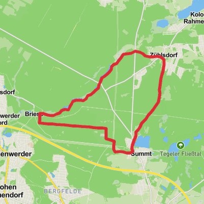 Buchenberg Loop via Summter See and Libelle mobile static map
