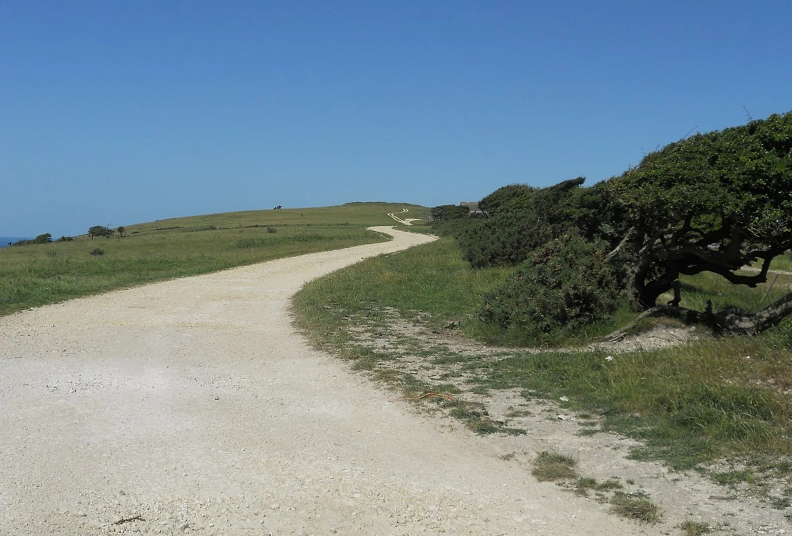 An image depicting the trail Rowborough Bottom, Limerstone Down and Fore Down Loop and its surrounding area.