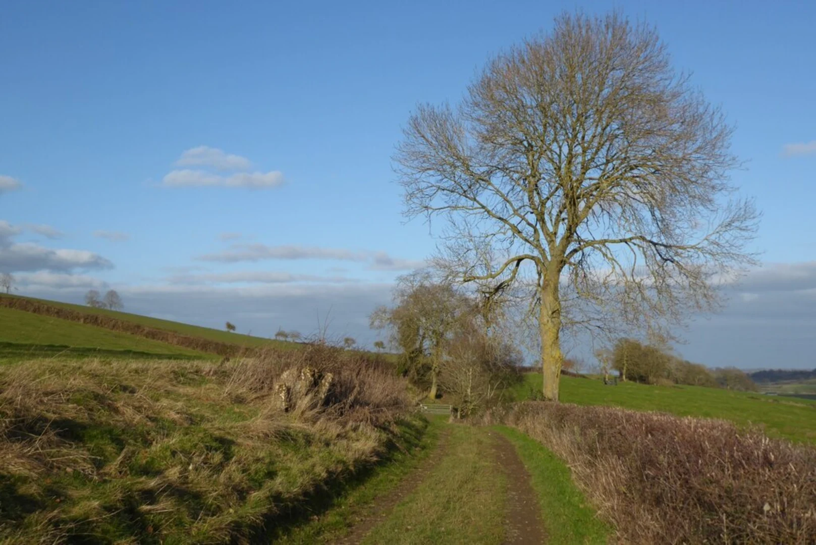 An image depicting the trail Brailes Hills and its surrounding area.