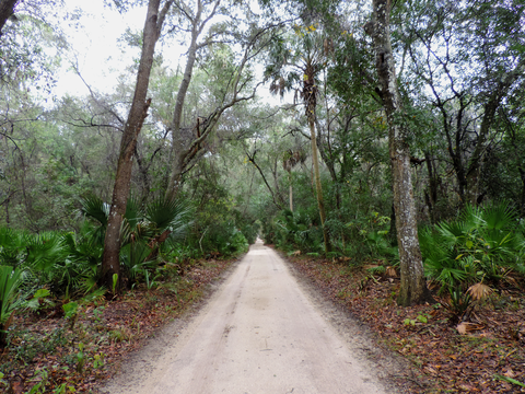 Florida National Scenic Trail