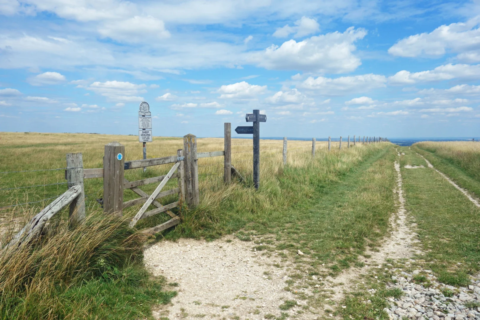 An image depicting the trail White Horse Hill and Wayland's Smithy Loop and its surrounding area.