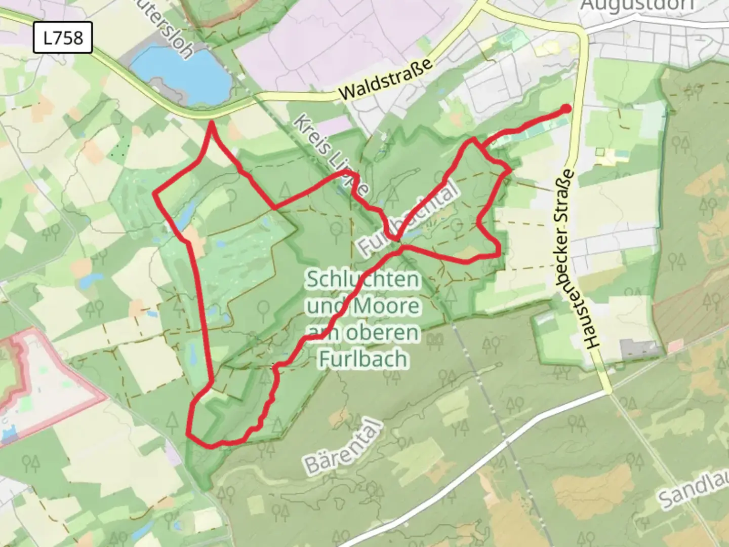 An image depicting the trail Ludwig-Altenbernd-Weg and Augustdorfer Straße Loop and its surrounding area.