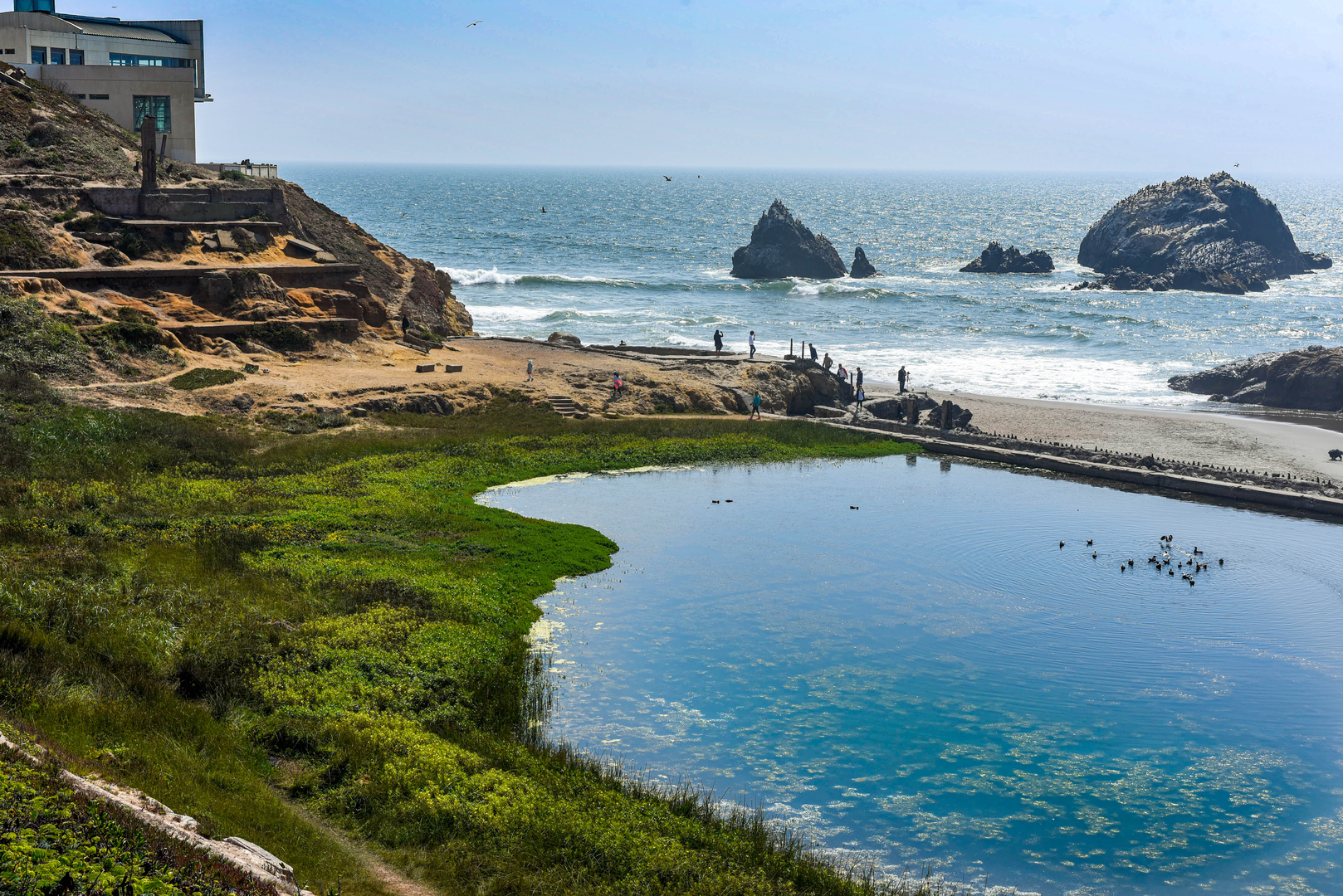 An image depicting the trail Sutro Heights Park - California Coastal Trailk and its surrounding area.