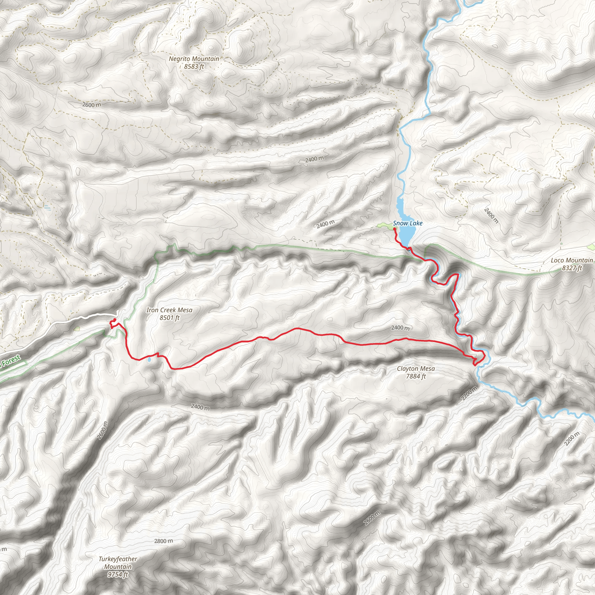 Willow Creek to Snow lake via Iron Creek Mesa Trail mobile static map