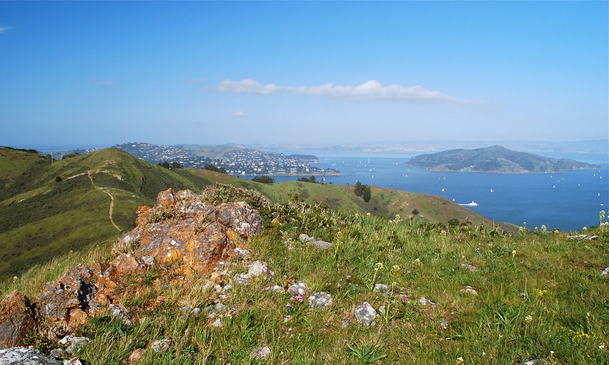 Loop around Richardson East