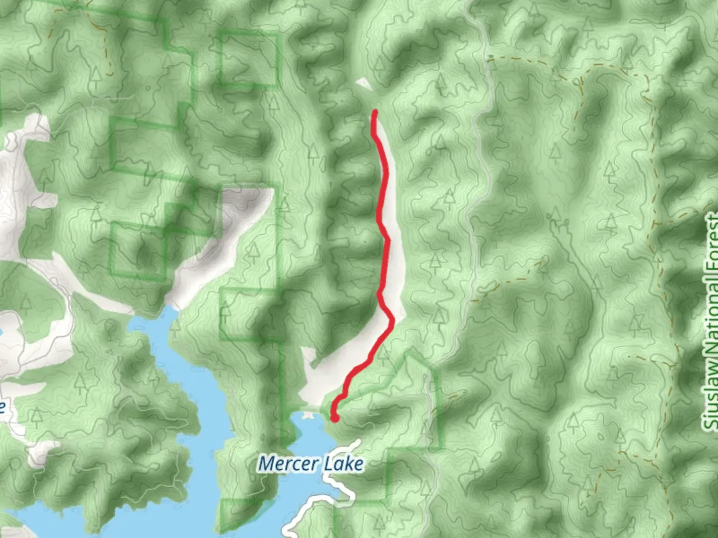 An image depicting the trail Walk along Bailey Creek and its surrounding area.