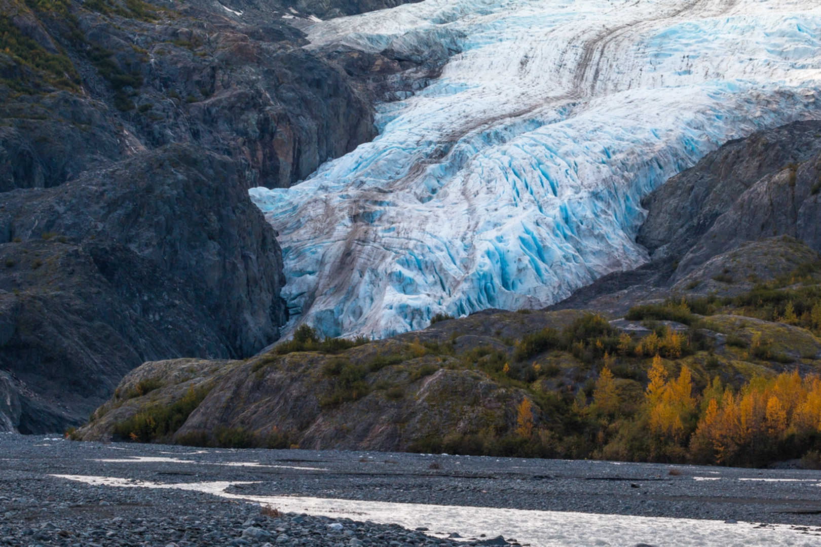 An image depicting the trail Exit Glacier Paved Path Trail and its surrounding area.