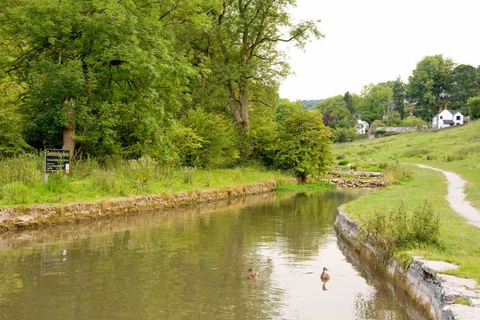 An image depicting the trail Limestone Way and Wenley Hill Plantation and its surrounding area.