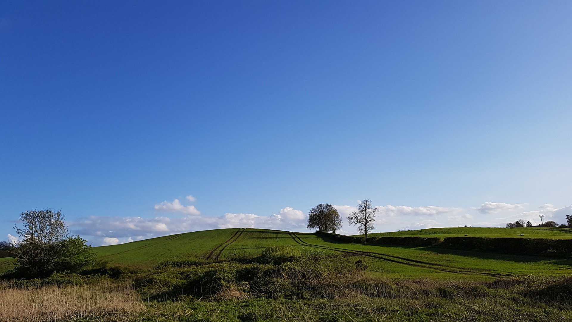 An image depicting the trail Charnwood Round and its surrounding area.