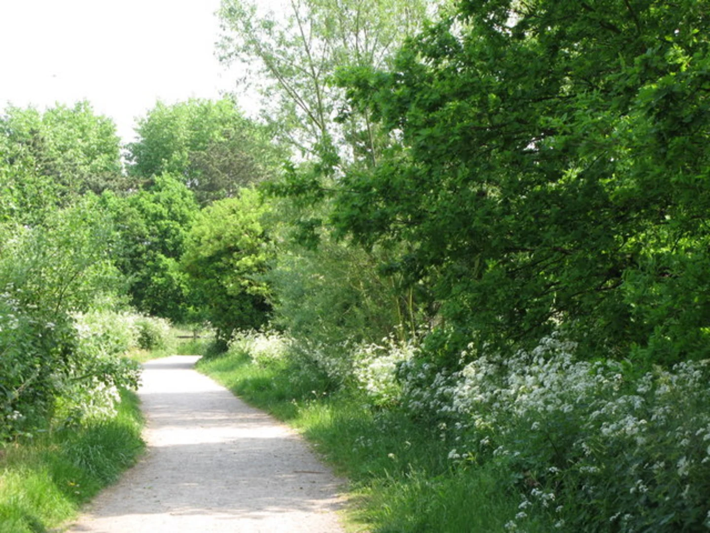 An image depicting the trail South Norwood Country Park Loop and its surrounding area.