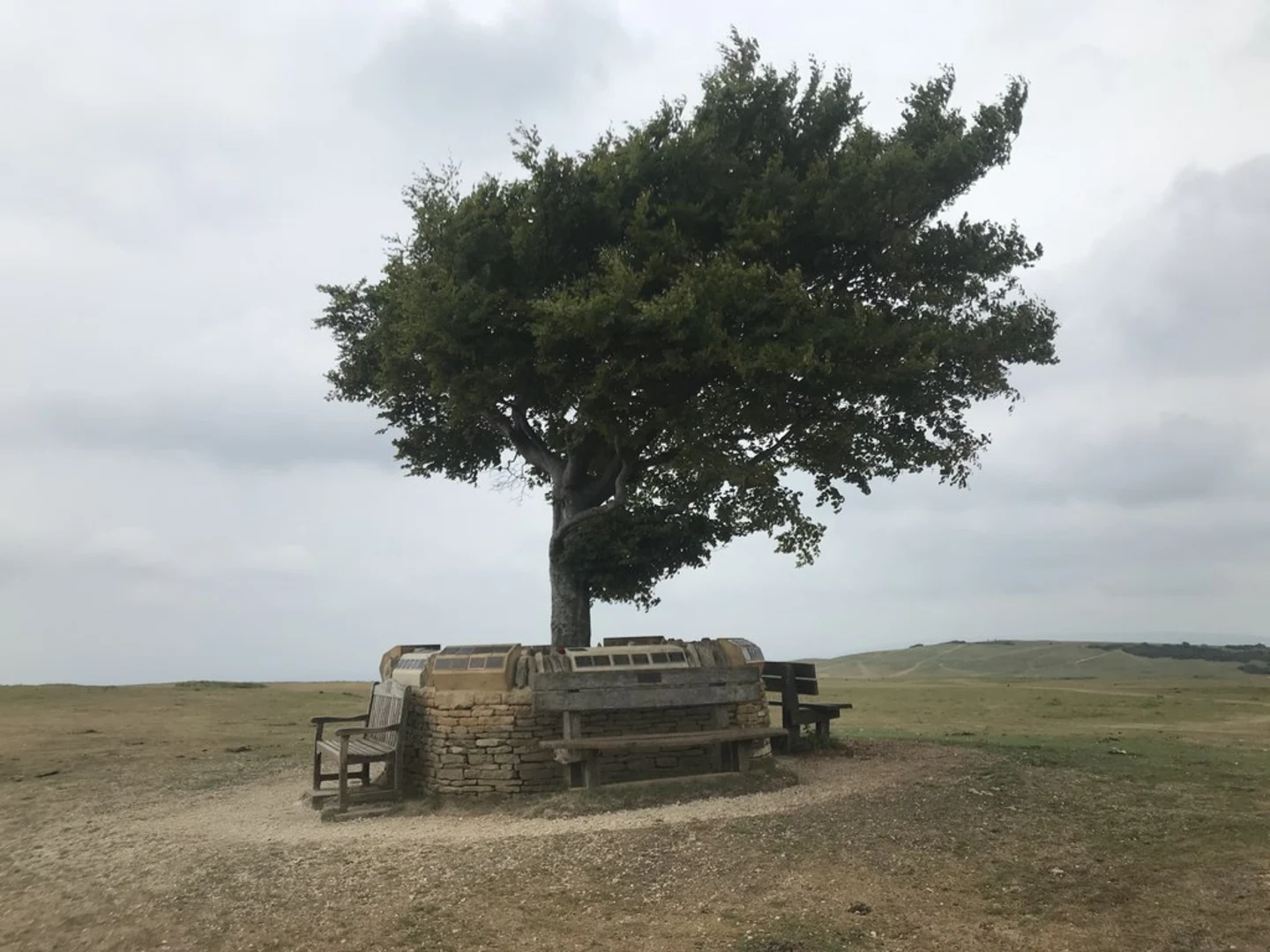 An image depicting the trail Cleeve Hill via Cotswold Way and its surrounding area.