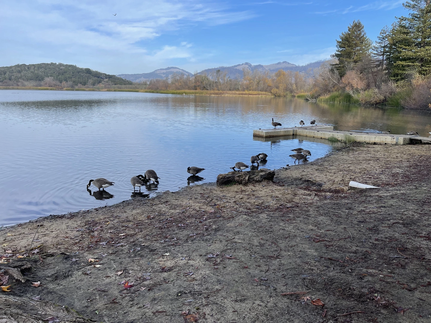 An image depicting the trail Santa Rosa Creek Reservoir and Lake Ralphine Loop and its surrounding area.