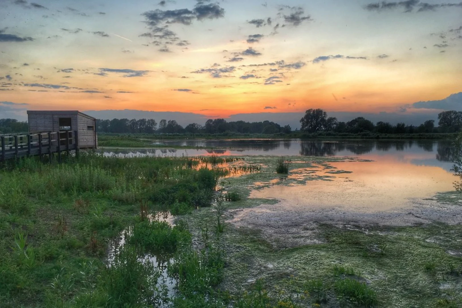 An image depicting the trail Floodplain Forest Nature Reserve Loop and its surrounding area.