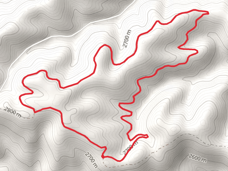 Dark Canyon Loop Trail