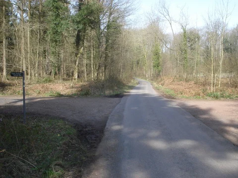 An image depicting the trail Dymock Woods Loop and its surrounding area.