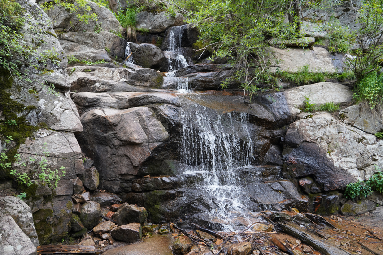 An image depicting the trail Maxwell Falls Trail and its surrounding area.