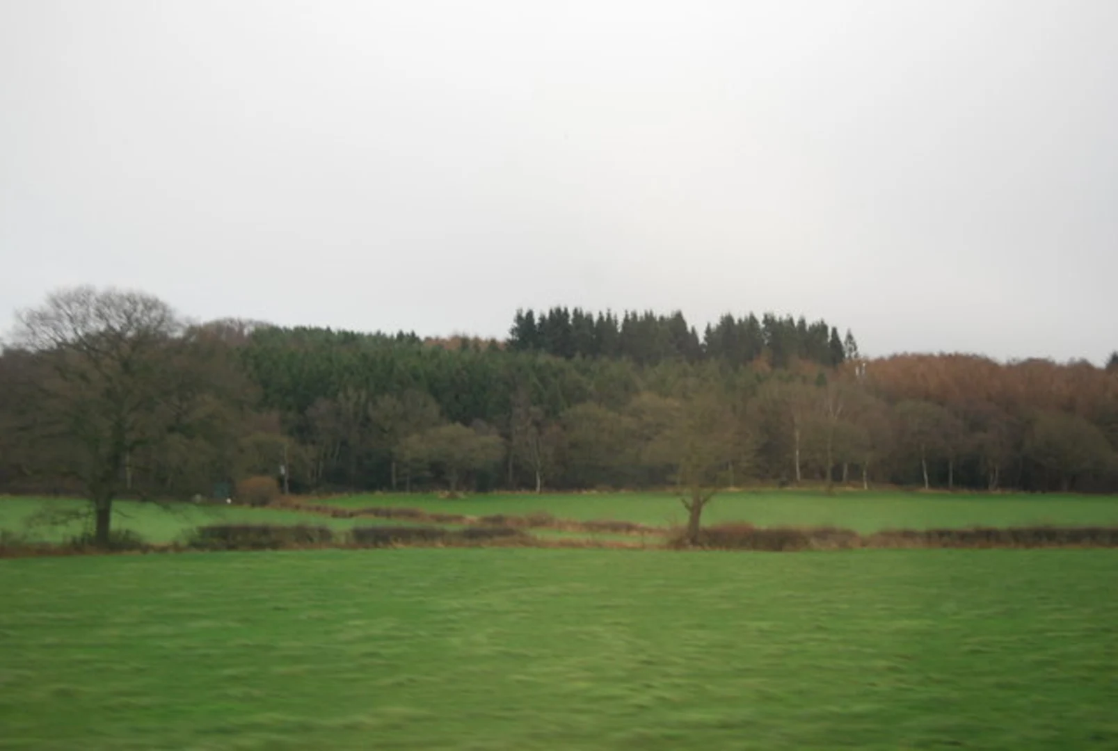 An image depicting the trail Whitmore Wood and Madeley Loop and its surrounding area.