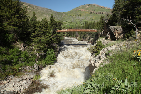 An image depicting the trail East Rim of Natural Bridge Trail and its surrounding area.