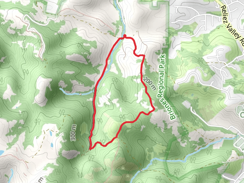 Diablo View and Alhambra Creek Loop Trail