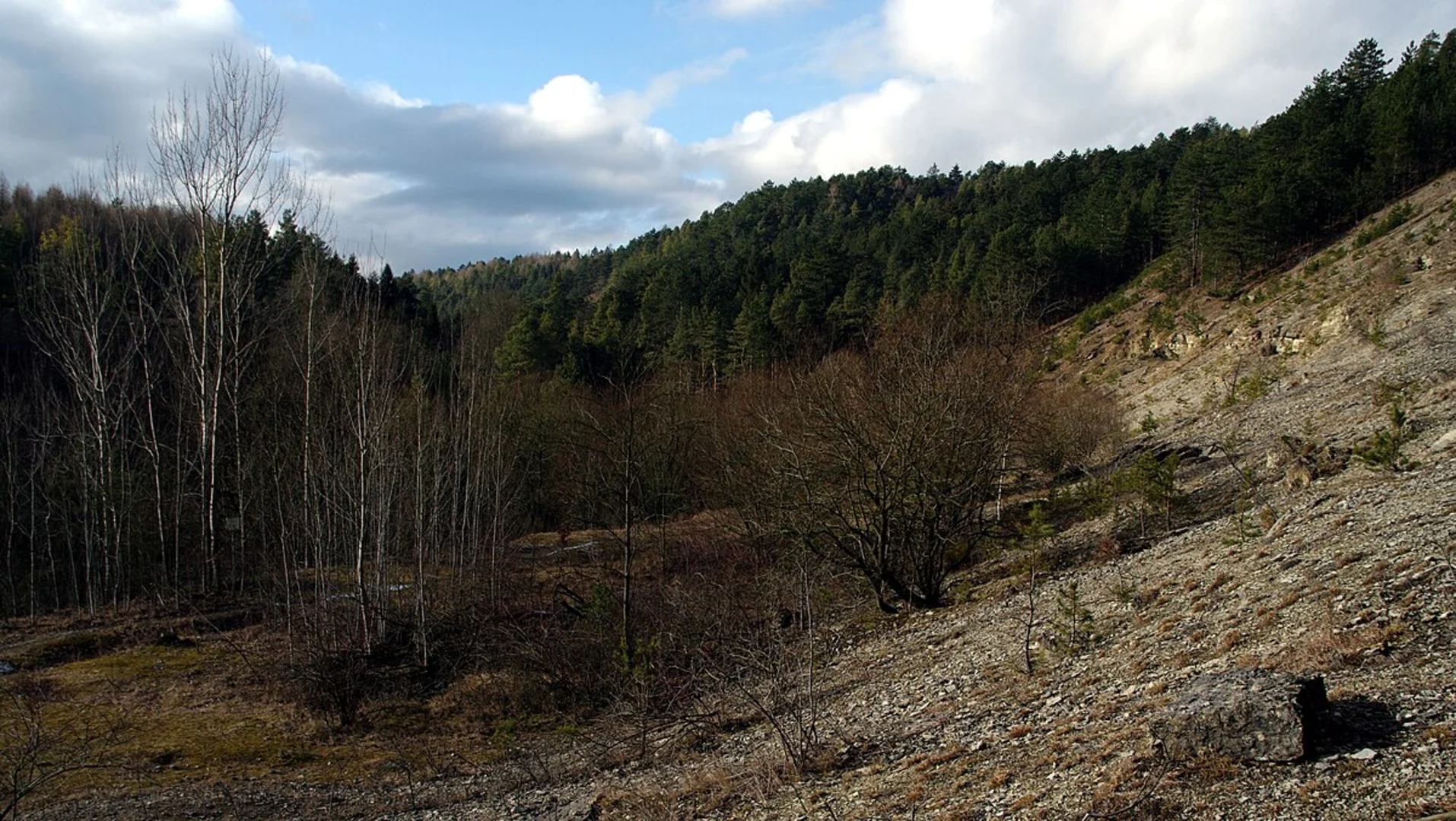 An image depicting the trail Jonastal and Götzberg Loop and its surrounding area.