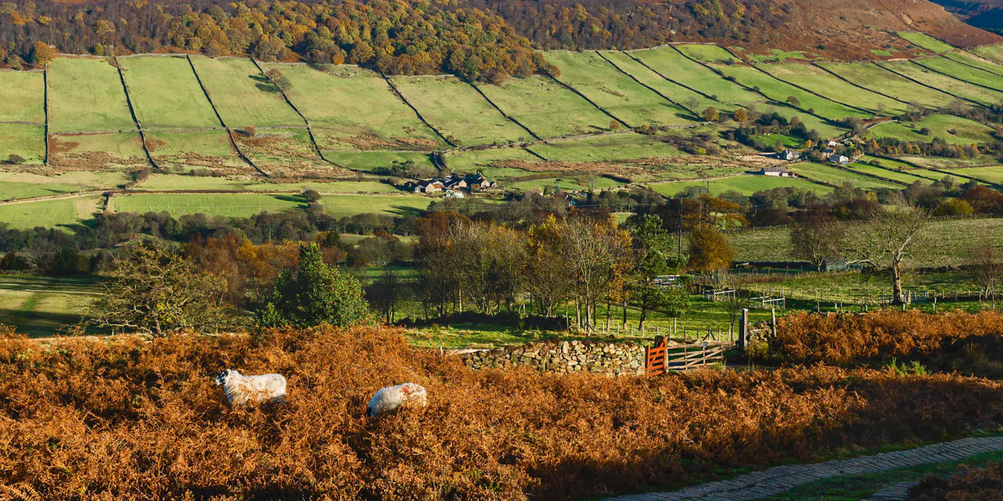 An image depicting the trail Wayram to Fridaythorpe Circular and its surrounding area.