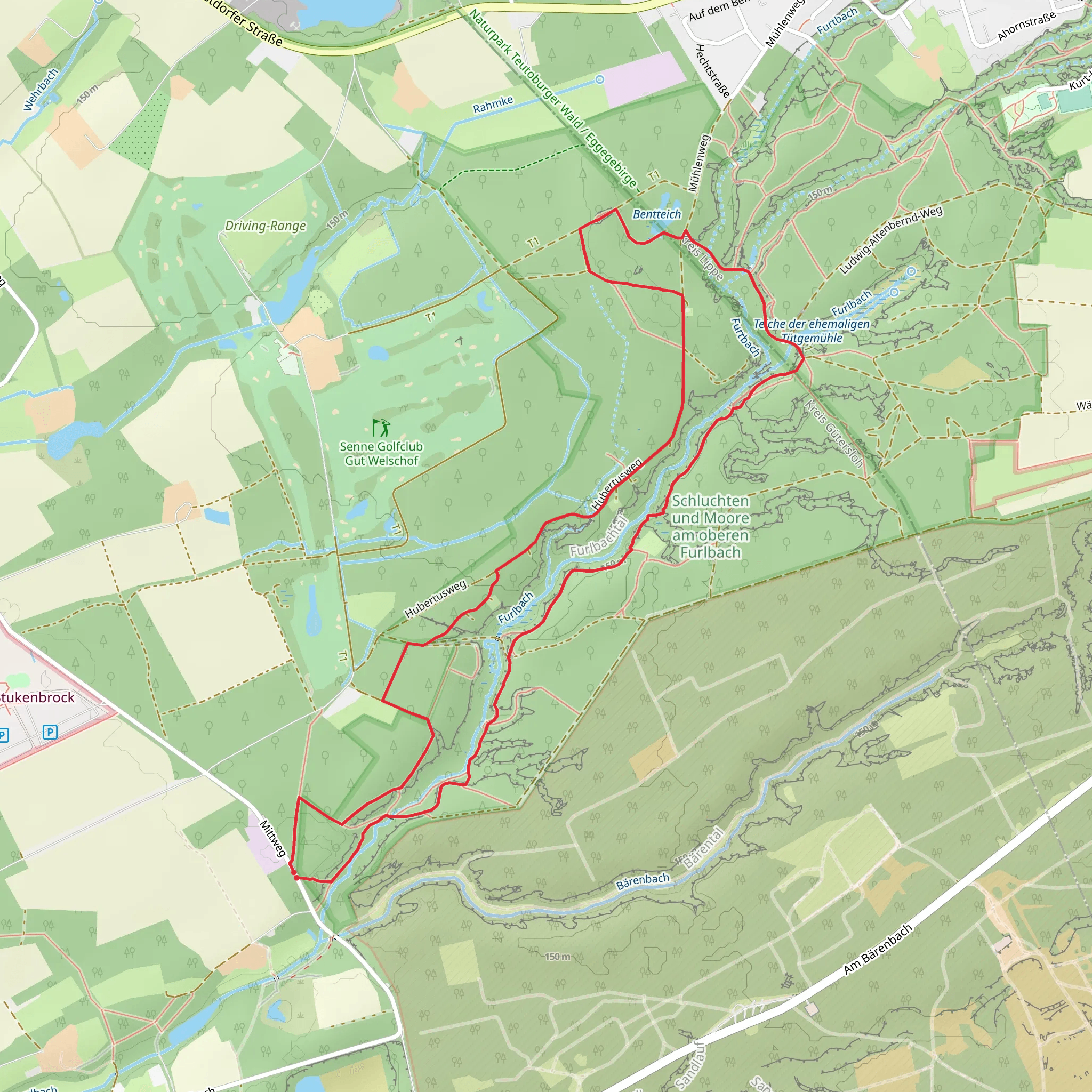 Schluchten und Moore am oberen Furlbach Loop via Romantisches Furlbachtal mobile static map