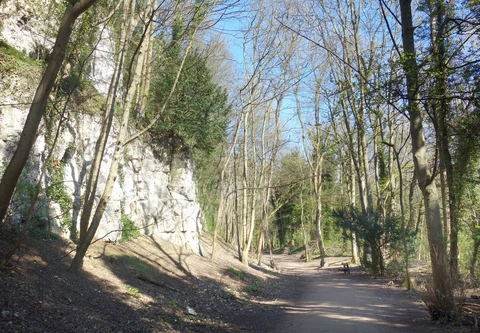 An image depicting the trail Humber Bridge Country Park and its surrounding area.