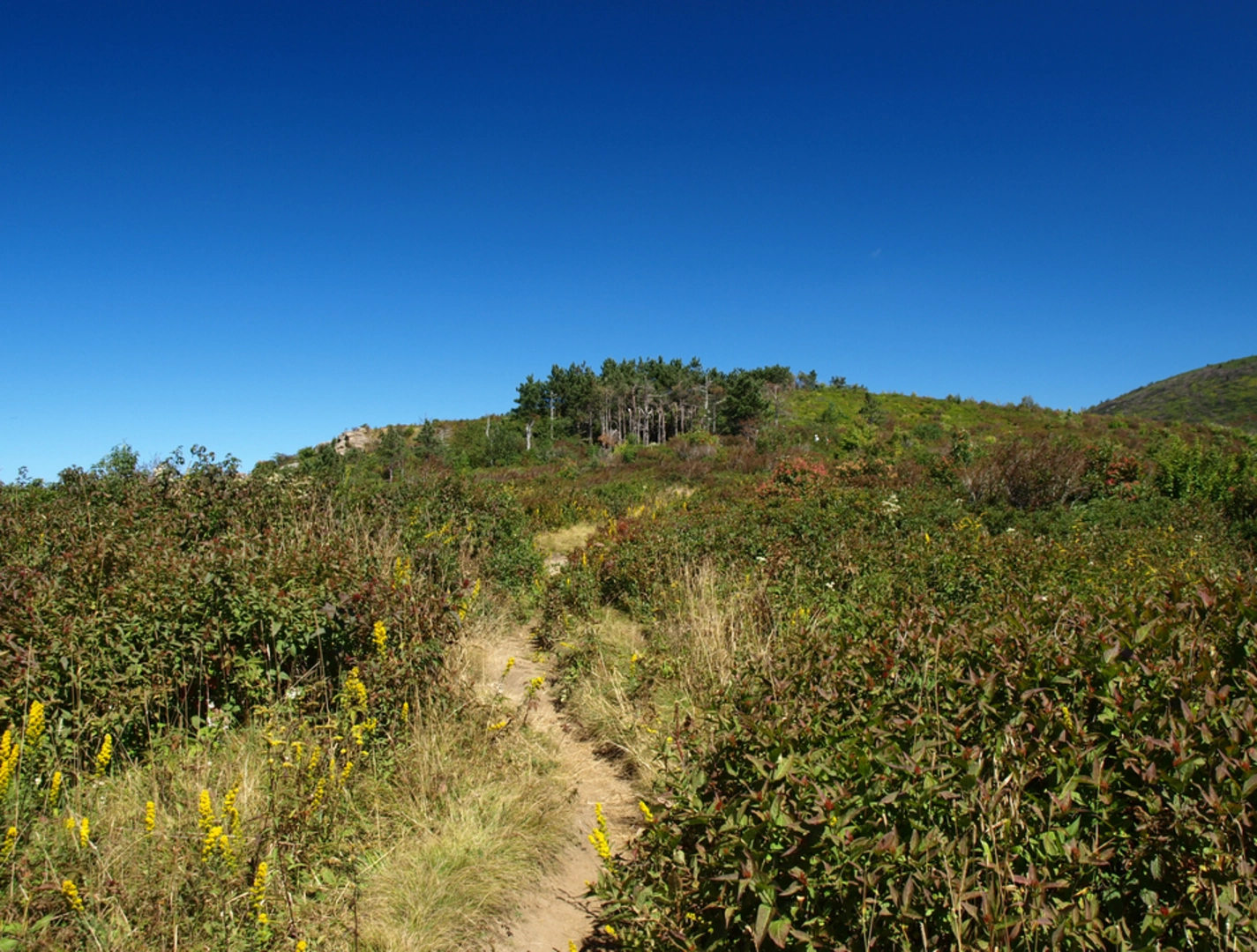 An image depicting the trail Black Mountain Trail and its surrounding area.