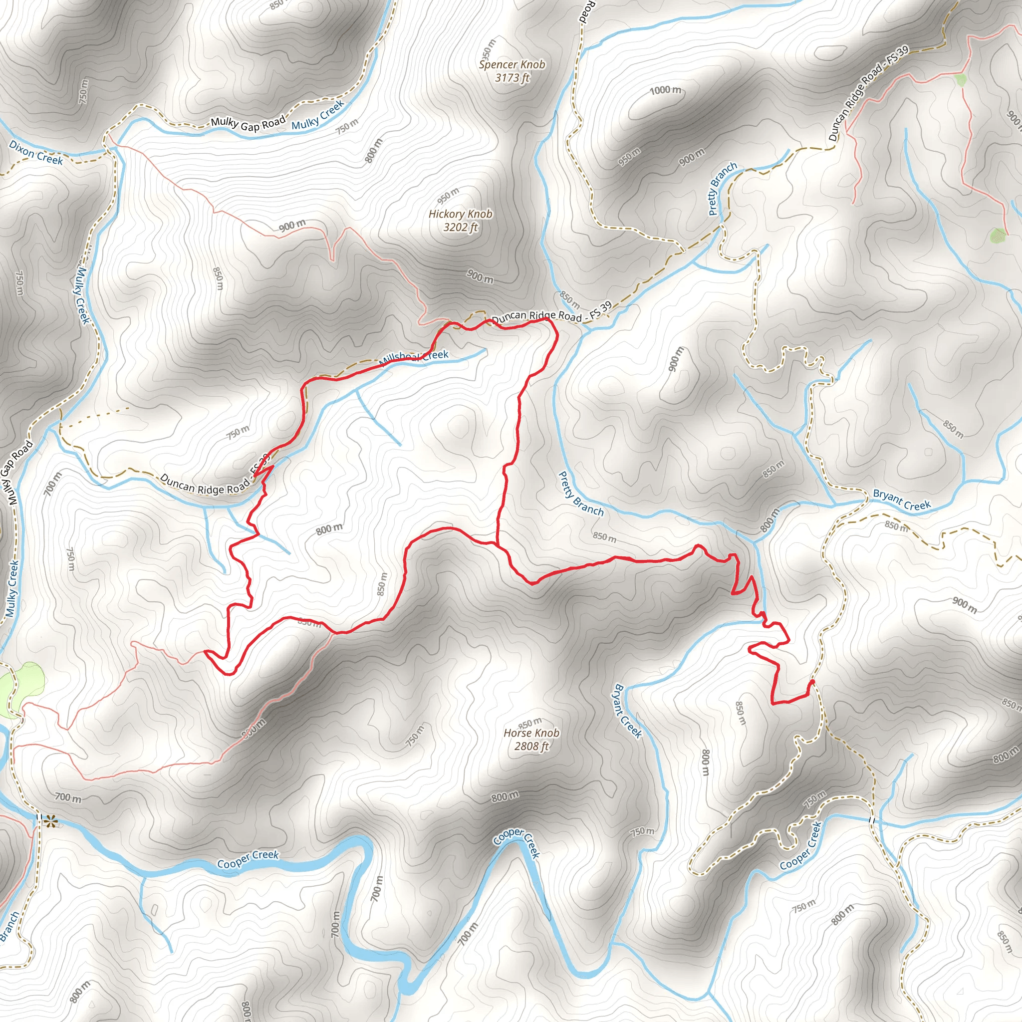Yellow Mountain, Cooper Creek and Shope Gap Loop Trail mobile static map