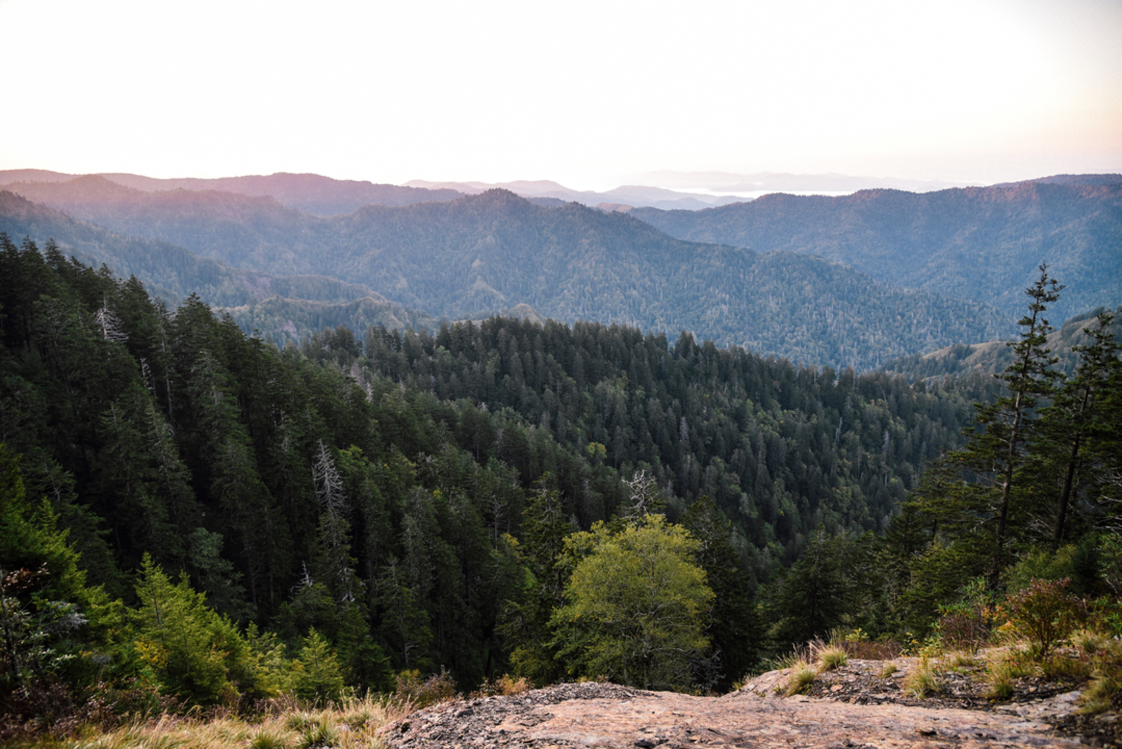 An image depicting the trail Trillium Gap to Mount LeConte Trail and its surrounding area.