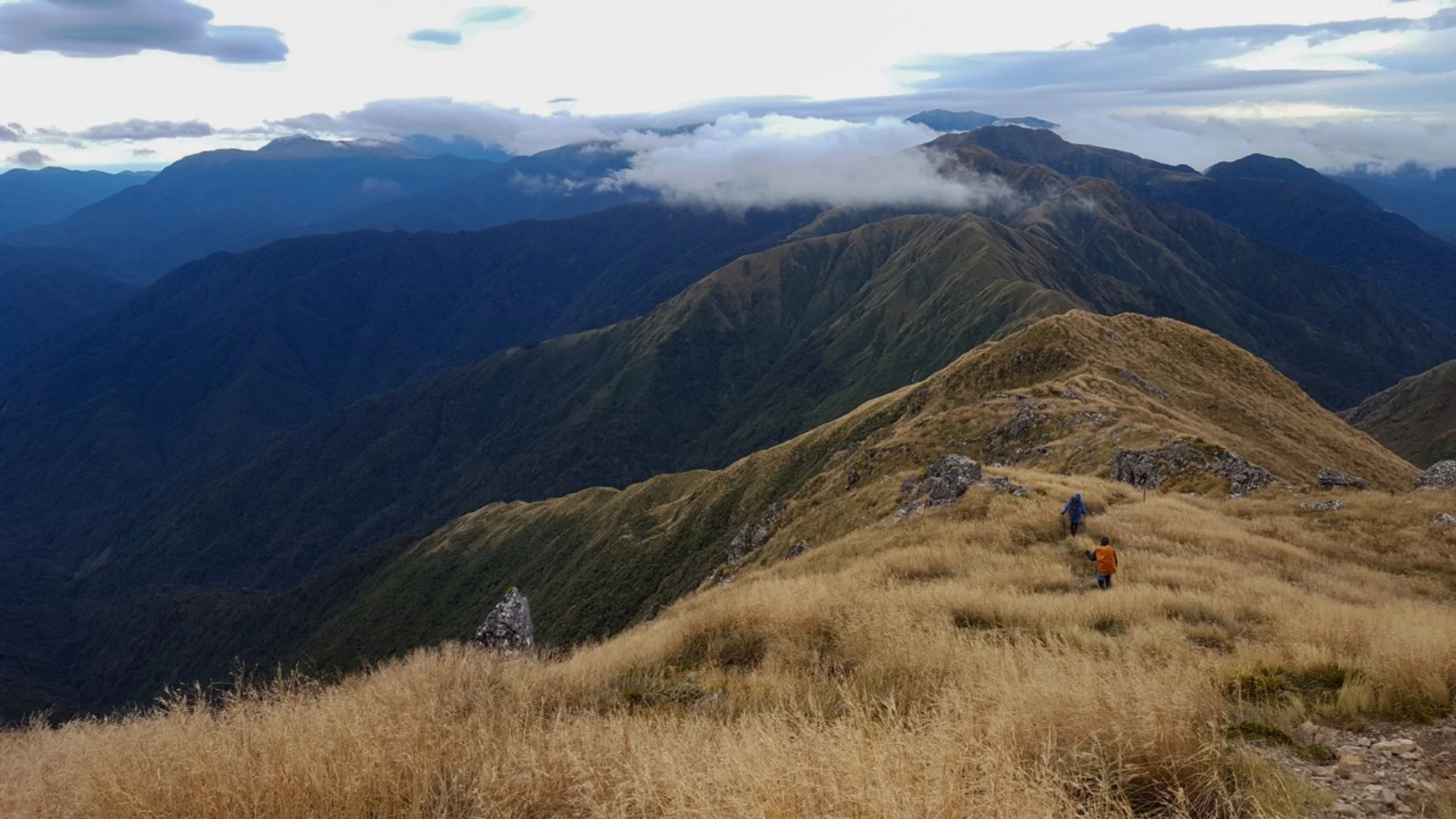 An image depicting the trail Tararua Southern Crossing and its surrounding area.