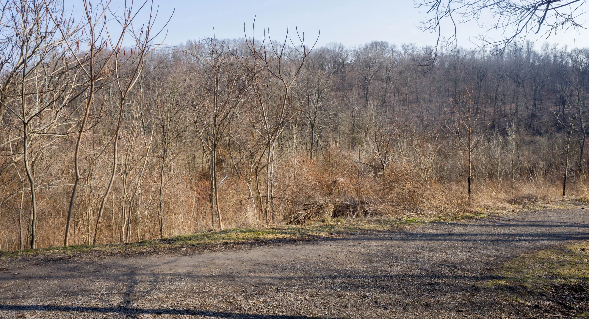 An image depicting the trail Cowboy Hill and Clayton Hill Loop and its surrounding area.