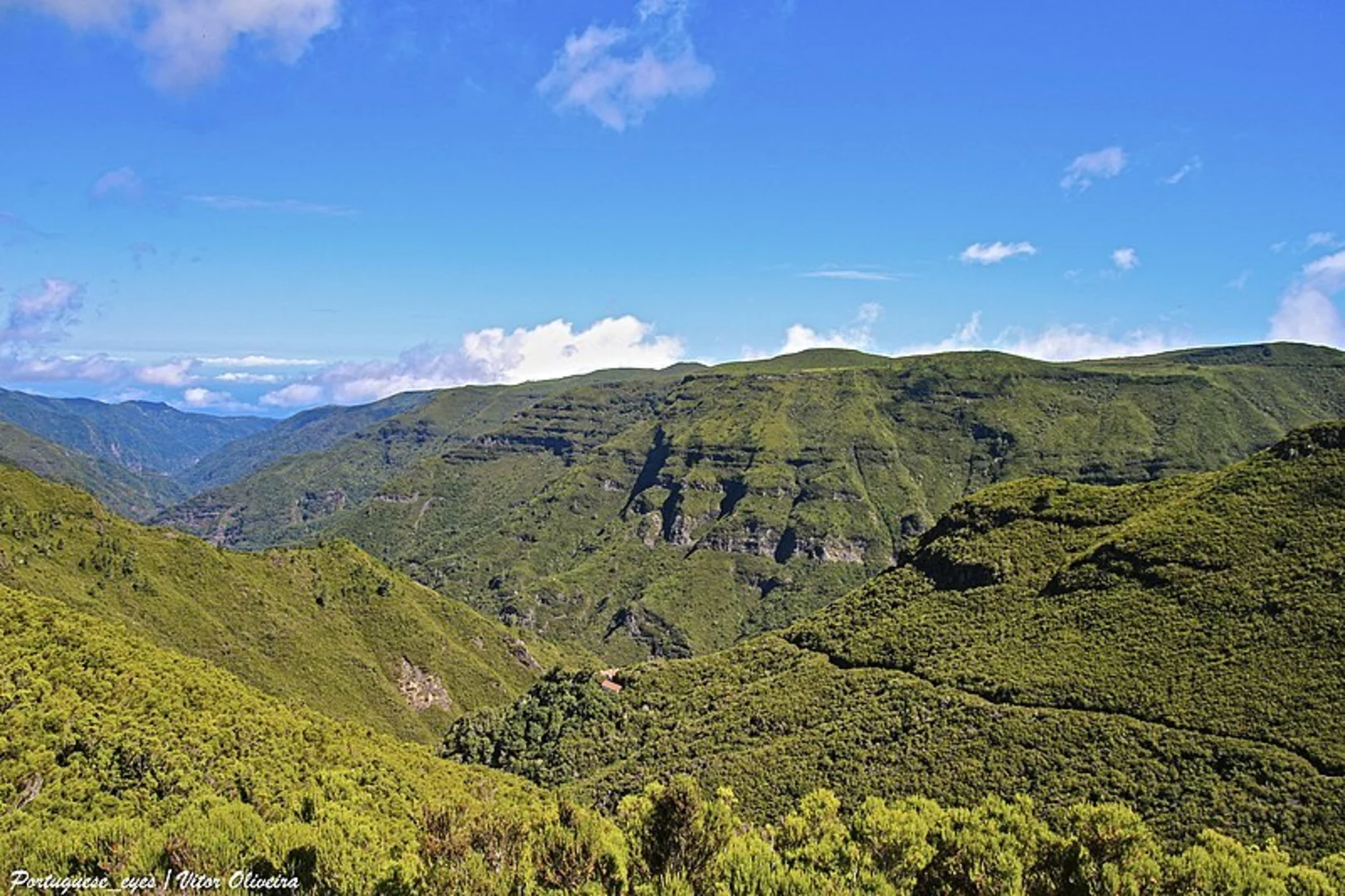 An image depicting the trail Levada do Paul and its surrounding area.