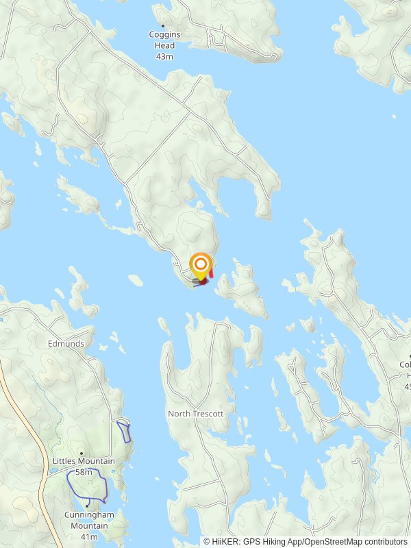 Cobscook Fallls and Reversing Falls Trail