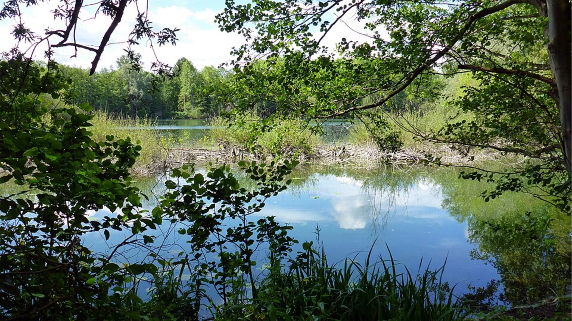 An image depicting the trail Erlachsee via Ahornweg and Eschenweg and its surrounding area.