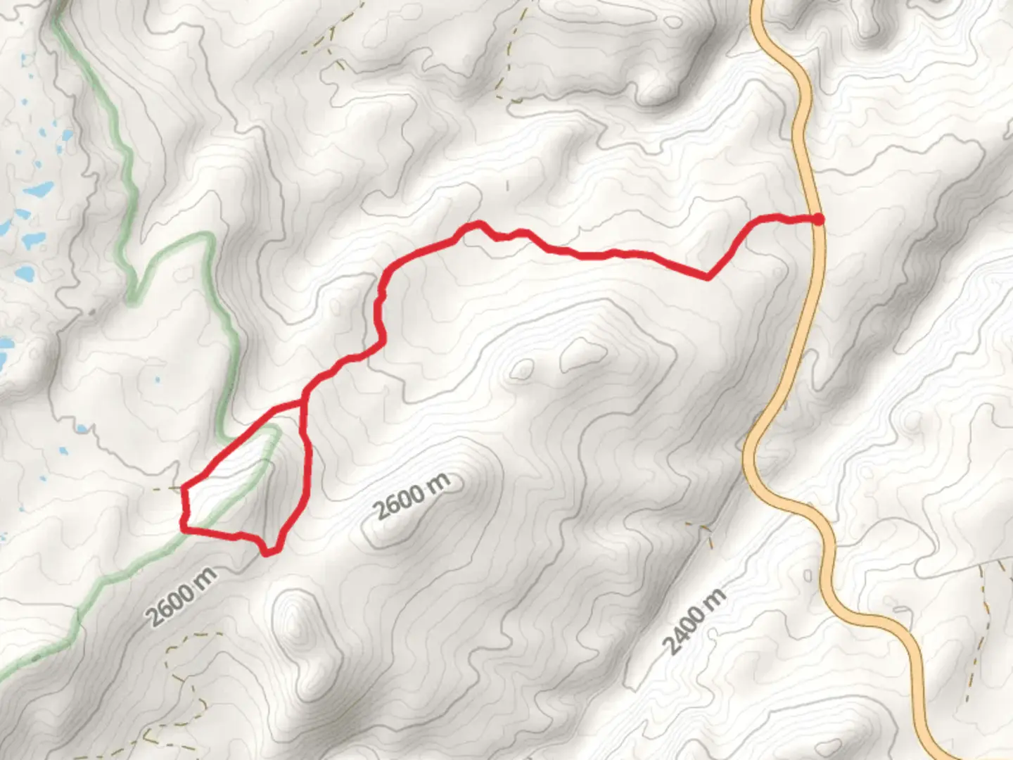 An image depicting the trail Trigger Lake Road and its surrounding area.