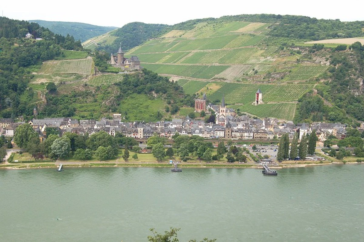 Kaub to Lorch Walk via Rundwanderweg Lorch 5