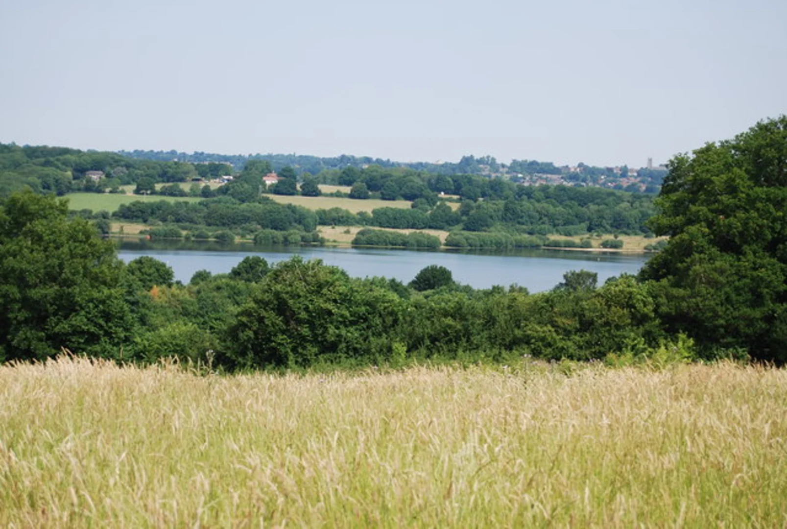 An image depicting the trail National Trust - Standen House and Garden Loop and its surrounding area.