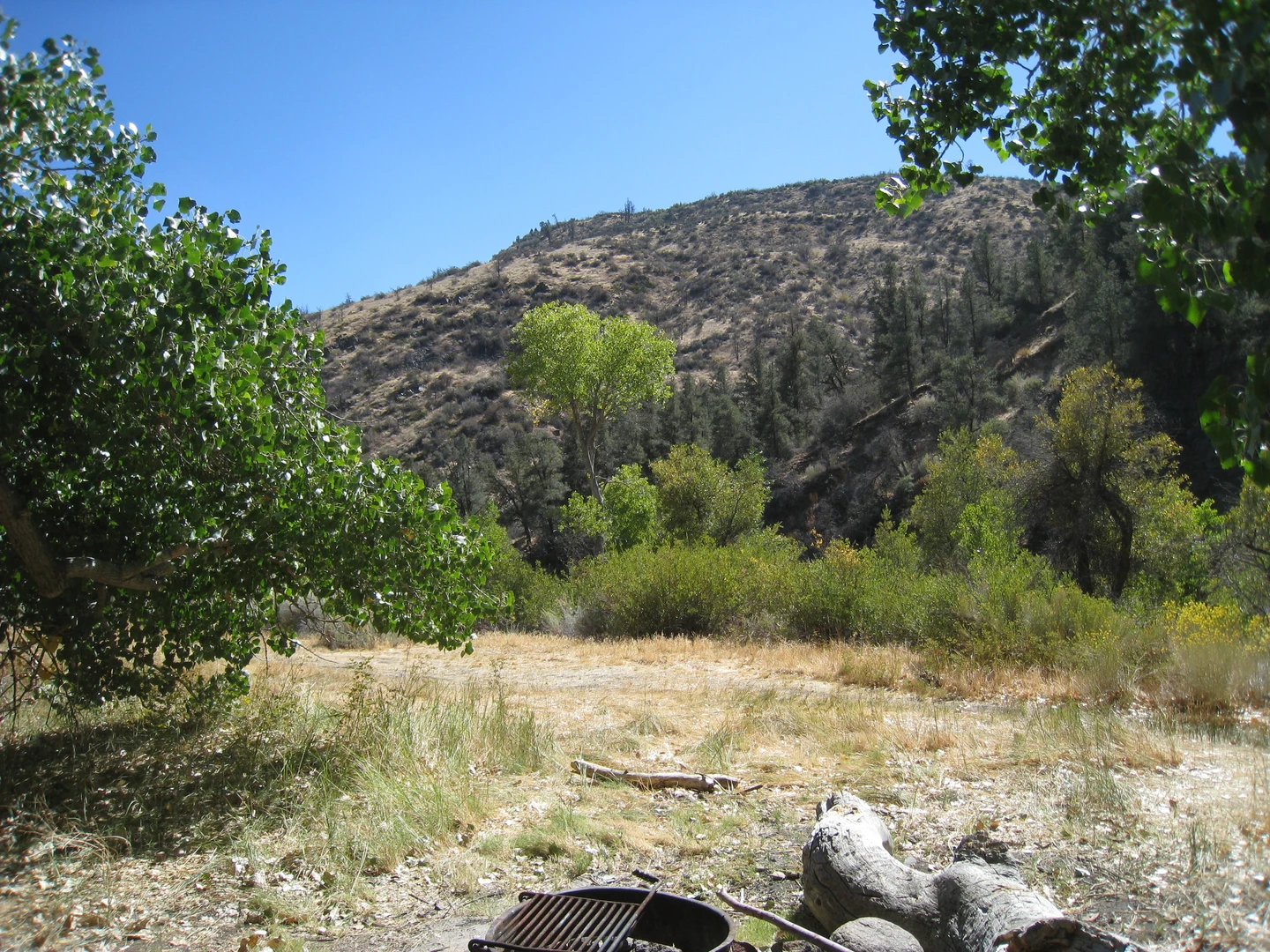 An image depicting the trail Lockwood Peak via Yellowjacket Trail and its surrounding area.