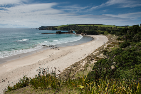 Tawharanui North Coast Track