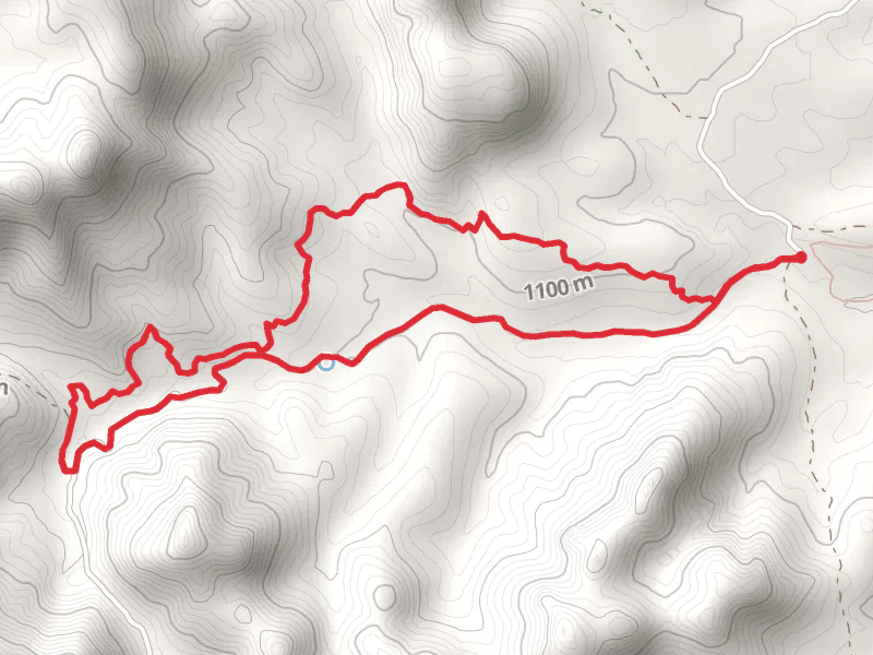 Puerto and Sarding Canyon Loop