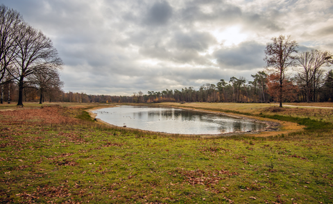 Roeivijver, Oude Zwemplas and Nieuwe Leemputten Loop