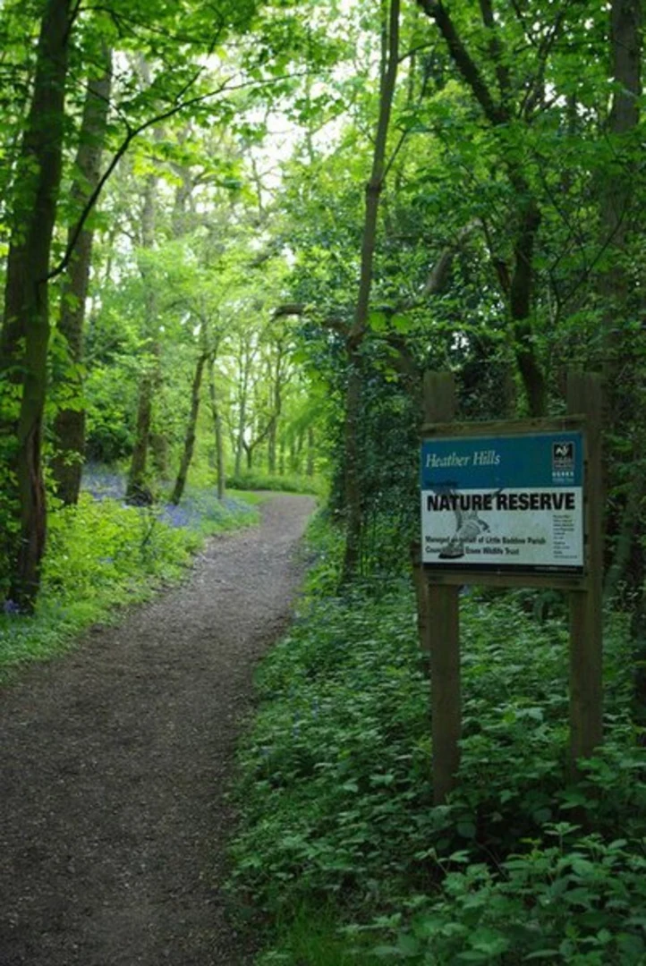An image depicting the trail Heather Hills Nature Reserve, Bakes Wood and River Chelmer Loop and its surrounding area.