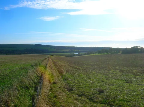 An image depicting the trail Coombes Circular Path and its surrounding area.