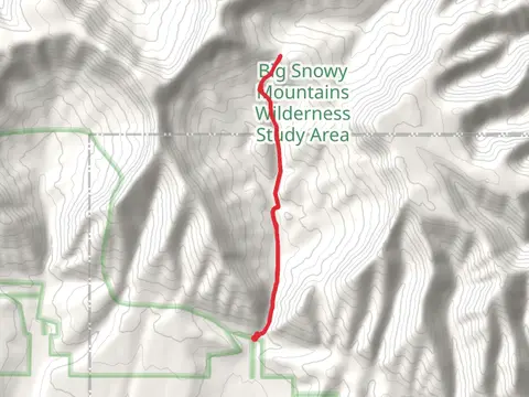 Swimming Woman Alt Trail