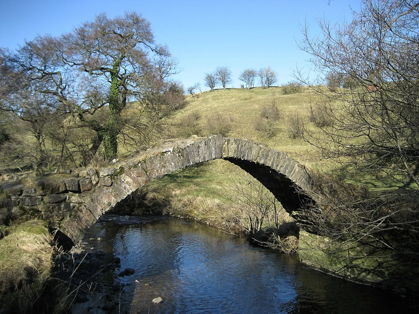An image depicting the trail River Ribble and Sawley Loop and its surrounding area.